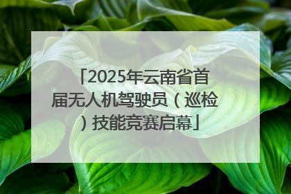 2025年云南省首届无人机驾驶员（巡检）技能竞赛启幕