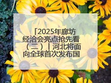 2025年廊坊经洽会亮点抢先看（二）丨河北将面向全球首次发布国际化招商地图