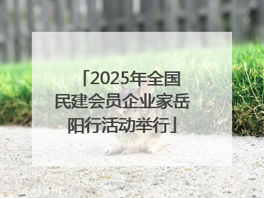 2025年全国民建会员企业家岳阳行活动举行