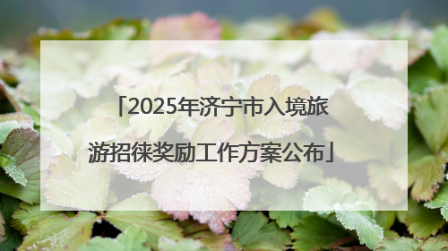 2025年济宁市入境旅游招徕奖励工作方案公布