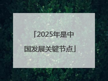 2025年是中国发展关键节点