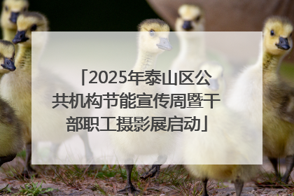 2025年泰山区公共机构节能宣传周暨干部职工摄影展启动