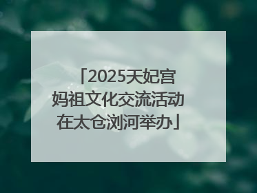 2025天妃宫妈祖文化交流活动在太仓浏河举办