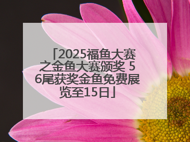 2025福鱼大赛之金鱼大赛颁奖 56尾获奖金鱼免费展览至15日
