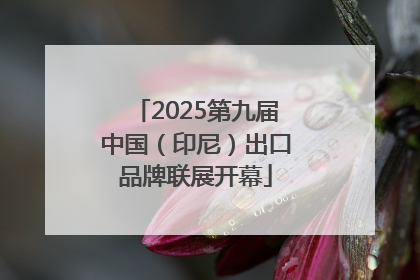 2025第九届中国（印尼）出口品牌联展开幕