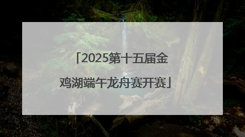 2025第十五届金鸡湖端午龙舟赛开赛