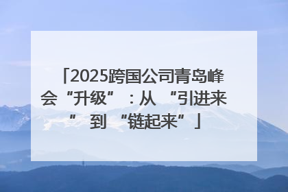2025跨国公司青岛峰会“升级”：从 “引进来” 到 “链起来”