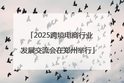 2025跨境电商行业发展交流会在郑州举行