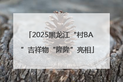 2025黑龙江“村BA”吉祥物“隆隆”亮相