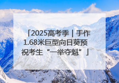 2025高考季｜手作1.68米巨型向日葵预祝考生“一举夺魁”
