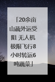 20余亩山蔬外运受阻 无人机极限飞行8小时转运6吨蔬菜