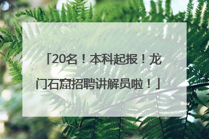 20名！本科起报！龙门石窟招聘讲解员啦！