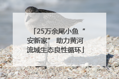 25万余尾小鱼“安新家” 助力黄河流域生态良性循环