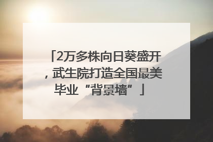 2万多株向日葵盛开，武生院打造全国最美毕业“背景墙”
