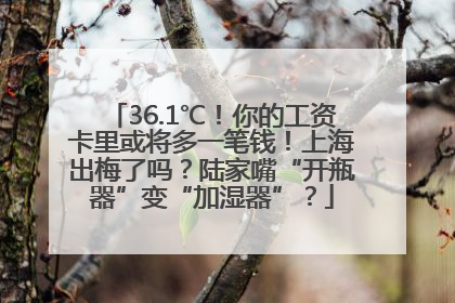 36.1℃！你的工资卡里或将多一笔钱！上海出梅了吗？陆家嘴“开瓶器”变“加湿器”？