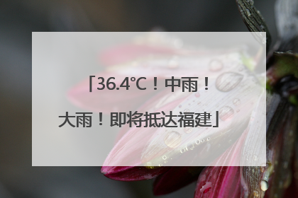 36.4℃！中雨！大雨！即将抵达福建