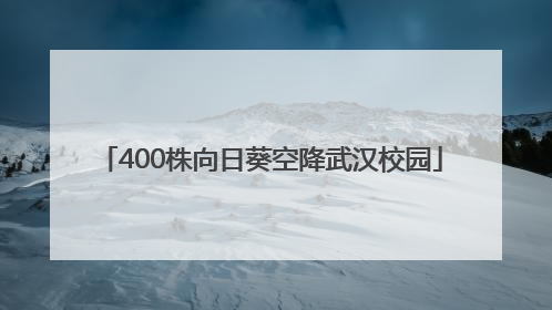 400株向日葵空降武汉校园