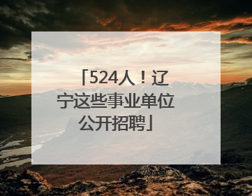 524人！辽宁这些事业单位公开招聘
