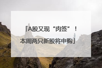 A股又现“肉签”！本周两只新股将申购