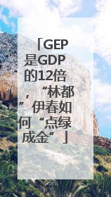 GEP是GDP的12倍，“林都”伊春如何“点绿成金”