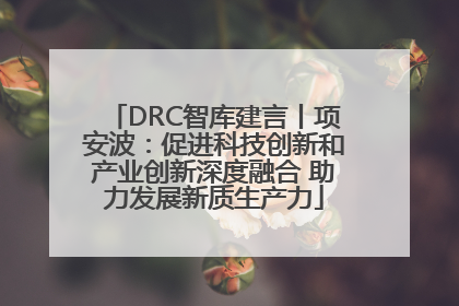 DRC智库建言丨项安波：促进科技创新和产业创新深度融合 助力发展新质生产力