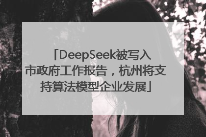DeepSeek被写入市政府工作报告，杭州将支持算法模型企业发展